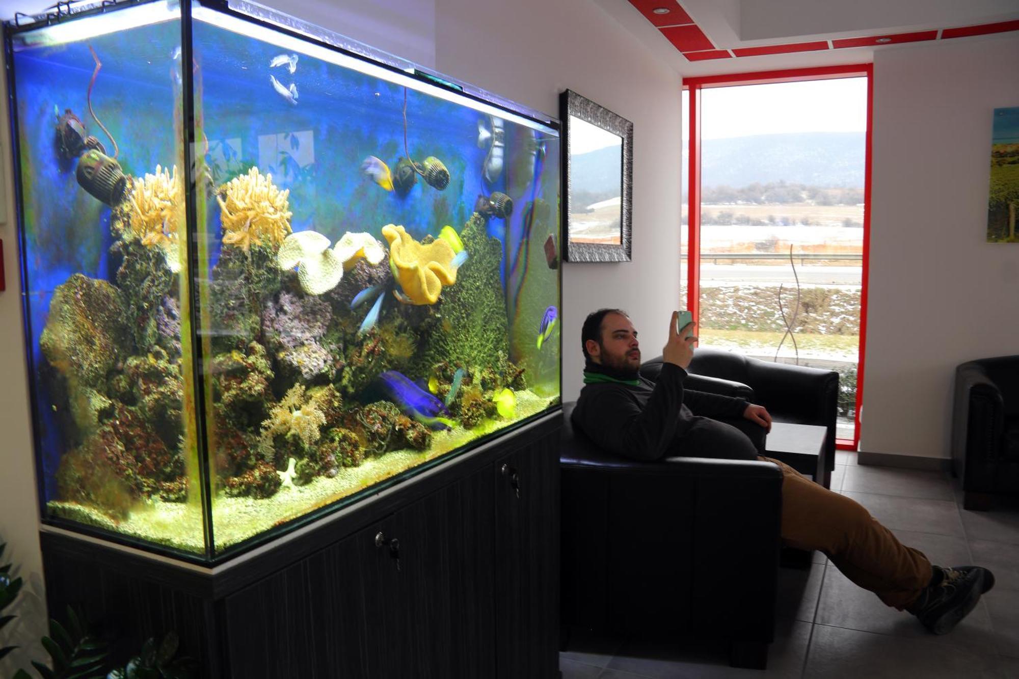 Top Hotel Vertesszolos Luaran gambar